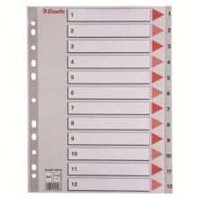 易达（Esselte）47105/100106 胶质分类索引/塑料分页纸/PP隔页纸/索引纸 1-12数字(12页)