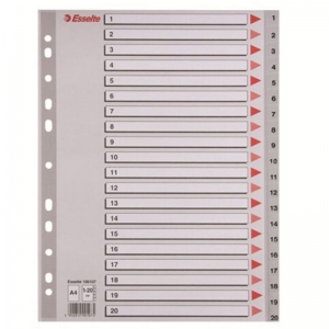 易达（Esselte）47141/100107 胶质分类索引/塑料分页纸/PP隔页纸/索引纸 1-20数字(20页)