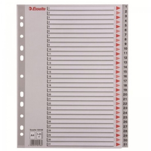 易达（Esselte）47106/100108 胶质分类索引/塑料分页纸/PP隔页纸/索引纸 1-31数字(31页)