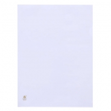 富得快（FUDEK）E310A 单页文件套/单片夹 A4 厚度18C 30个装 白色