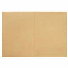 得力（deli）5917 牛皮纸文件套/L型单片夹/单页文件套 10个装