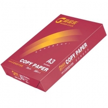 高品乐（GOLDEN COLOR）A3 70克 多功能复印纸 5包/箱
