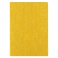 前通（front）DV69-B501 软面抄记事本 B5（191*262mm）146页 黄色
