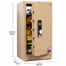 得力（deli）4069 电子防盗密码保管箱保险柜 指纹+密码双重防盗国标保险箱 高92cm 金色