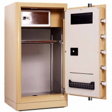 得力（deli）4069 电子防盗密码保管箱保险柜 指纹+密码双重防盗国标保险箱 高92cm 金色