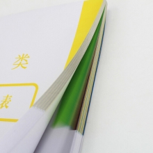 永硕（UOSO）干部人事档案A4分类纸1类-10类分页纸  档案十大类分类纸 100张装